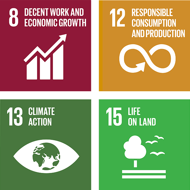 sdg icon environment