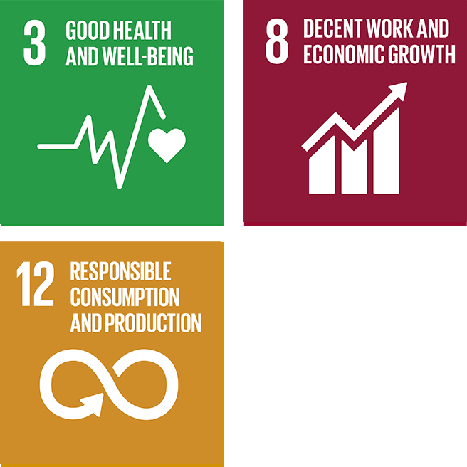 sdg icon healthfood